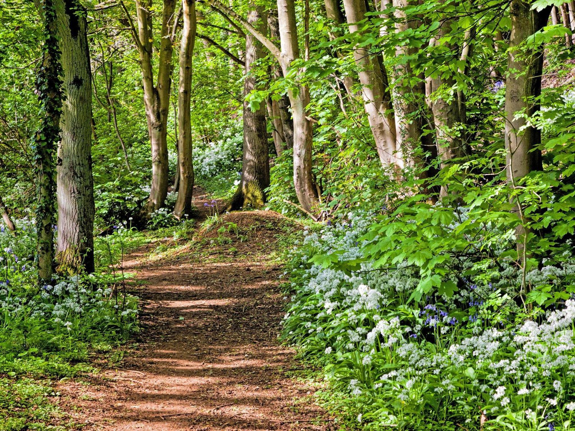 Squirrel Cottage Hook Norton Екстер'єр фото